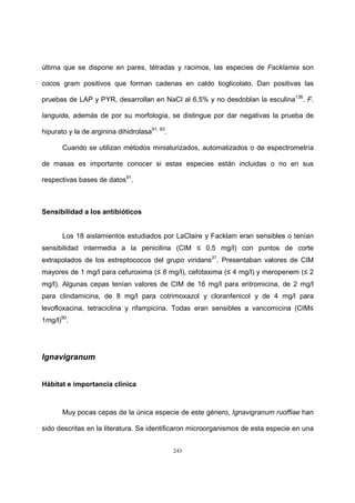 243
última que se dispone en pares, tétradas y racimos, las especies de Facklamia son
cocos gram positivos que forman cadenas en caldo tioglicolato. Dan positivas las
pruebas de LAP y PYR, desarrollan en NaCl al 6,5% y no desdoblan la esculina136
. F.
languida, además de por su morfología, se distingue por dar negativas la prueba de
hipurato y la de arginina dihidrolasa91, 93
.
Cuando se utilizan métodos miniaturizados, automatizados o de espectrometría
de masas es importante conocer si estas especies están incluidas o no en sus
respectivas bases de datos91
.
Sensibilidad a los antibióticos
Los 18 aislamientos estudiados por LaClaire y Facklam eran sensibles o tenían
sensibilidad intermedia a la penicilina (CIM ≤ 0,5 mg/l) con puntos de corte
extrapolados de los estreptococos del grupo viridans31
. Presentaban valores de CIM
mayores de 1 mg/l para cefuroxima (≤ 8 mg/l), cefotaxima (≤ 4 mg/l) y meropenem (≤ 2
mg/l). Algunas cepas tenían valores de CIM de 16 mg/l para eritromicina, de 2 mg/l
para clindamicina, de 8 mg/l para cotrimoxazol y cloranfenicol y de 4 mg/l para
levofloxacina, tetraciclina y rifampicina. Todas eran sensibles a vancomicina (CIM≤
1mg/l)90
.
Ignavigranum
Hábitat e importancia clínica
Muy pocas cepas de la única especie de este género, Ignavigranum ruoffiae han
sido descritas en la literatura. Se identificaron microorganismos de esta especie en una
 