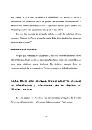 246
agar sangre, al igual que Pediococcus y Leuconostoc. Su resistencia natural a
vancomicina y su producción de gas de glucosa, que comparte con Leuconostoc, la
diferencian de otras bacterias relacionadas. La prueba de arginina que da positiva para
Weissella y negativa para Leuconostoc las separa de esta última.
Son dos las especies de Weissella aisladas a partir de materiales clínicos
humanos: Weissella confusa y Weissella cibaria. Esta última también fue aislada de
alimentos y de animales12
.
Sensibilidad a los antibióticos
Al igual que Pediococcus y Leuconostoc, Weissella presenta resistencia natural
a la vancomicina. No se cuenta con estudios suficientes de ensayo de otros antibióticos
como para establecer alguna tendencia. No obstante, parecería tener un
comportamiento similar a Leuconostoc y Pediococcus respecto de los β-lactámicos.
II.b.5.3. Cocos gram positivos, catalasa negativos, distintos
de estreptococos y enterococos, que se disponen en
tétradas o racimos
En esta sección se describirán las características principales de Gemella,
Aerococcus, Dolosigranulum, Helcococcus, Tetragenococcus y Pediococcus.
 
