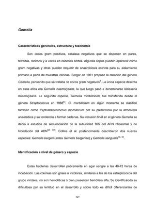 247
Gemella
Características generales, estructura y taxonomía
Son cocos gram positivos, catalasa negativos que se disponen en pares,
tétradas, racimos y a veces en cadenas cortas. Algunas cepas pueden aparecer como
gram negativas y otras pueden requerir de anaerobiosis estricta para su aislamiento
primario a partir de muestras clínicas. Berger en 1961 propuso la creación del género
Gemella, pensando que se trataba de cocos gram negativos8
. La única especie descrita
en esos años era Gemella haemolysans, la que luego pasó a denominarse Neisseria
haemolysans. La segunda especie, Gemella morbillorum, fue transferida desde el
género Streptococcus en 198883
. G. morbillorum en algún momento se clasificó
también como Peptostreptococcus morbillorum por su preferencia por la atmósfera
anaeróbica y su tendencia a formar cadenas. Su inclusión final en el género Gemella se
debió a estudios de secuenciación de la subunidad 16S del ARN ribosomal y de
hibridación del ADN58, 135
. Collins et al. posteriormente describieron dos nuevas
especies: Gemella bergeri (antes Gemella bergeriae) y Gemella sanguinis38, 39
.
Identificación a nivel de género y especie
Estas bacterias desarrollan pobremente en agar sangre a las 48-72 horas de
incubación. Las colonias son grises o incoloras, similares a las de los estreptococos del
grupo viridans, no son hemolíticas o bien presentan hemólisis alfa. Su identificación es
dificultosa por su lentitud en el desarrollo y sobre todo es difícil diferenciarlas de
 