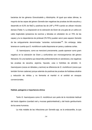 248
bacterias de los géneros Granulicatella y Abiotrophia. Al igual que estas últimas, la
mayoría de las cepas del género Gemella dan negativas las pruebas de bilis esculina y
desarrollo en 6,5% de NaCl y positivas las de LAP y PYR cuando se utilizan inóculos
densos (Tabla 1). La disposición en la coloración de Gram de una gota de un cultivo en
caldo tioglicolato (presencia de racimos y tétradas en alrededor de un 75% de las
cepas) y la no dependencia de piridoxal (70-75%) pueden servir para separar Gemella
de las antiguamente denominadas “variantes nutricionales”58
. Sin embargo, debe
tenerse en cuenta que G. morbillorum suele disponerse en pares y cadenas cortas.
G. haemolysans, como se mencionó previamente, puede aparecer como gram
negativa en la coloración de Gram y confundirse con microorganismos del género
Neisseria. Es una bacteria que desarrolla preferentemente en aerobiosis y da negativas
las pruebas de esculina, arginina, hipurato, urea e hidrólisis de almidón. G.
haemolysans (cocos en tétradas y racimos) se diferencia de G. morbillorum (cocos que
también forman cadenas) porque además da positivas las pruebas de fosfatasa alcalina
y reducción de nitritos y no fermenta el manitol ni el sorbitol en ensayos
convencionales.
Habitat, patogenia e importancia clínica
Tanto G. haemolysans como G. morbillorum son parte de la microbiota habitual
del tracto digestivo (cavidad oral y mucosa gastrointestinal) y del tracto genitourinario
de los seres humanos.
La más notable de las infecciones por Gemella spp. es la endocarditis, la que
 