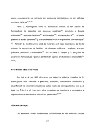 249
ocurre especialmente en individuos con problemas odontológicos y/o con válvulas
cardíacas dañadas19, 82, 92
.
Tanto G. haemolysans como G. morbillorum también se han aislado de
hemocultivos de pacientes con abscesos cerebrales98
, sometidos a terapia
antitumoral171
, abscesos hepáticos74
, artritis séptica170
, empiema pleural163
, peritonitis
posterior a diálisis peritoneal65
y ocasionalmente de LCR de pacientes con meningitis4,
50
. También G. morbillorum se aisló de materiales del tracto respiratorio, del tracto
urinario, de secreciones de heridas, de abscesos cutáneos, empiema, absceso
pulmonar, peritonitis y osteomielitis169
. Por su parte G. bergeri y G. sanguinis se
aislaron de hemocultivos y podrían ser también agentes productores de endocarditis38,
39, 105
.
Sensibilidad a los antibióticos
Buu Hoi et al. en 1982 informaron que todos los aislados probados de G.
haemolysans eran sensibles a penicilina, ampicilina, vancomicina, rifampicina y
cloranfenicol. No encontraron resistencia a altos niveles de aminoglucósidos, pero sí, al
igual que Zolezzi et al. observaron altos porcentajes de resistencia a trimetoprima y
algunos aislados resistentes a eritromicina y tetraciclina20, 177
.
Aerococcus spp.
Los aerococos suelen considerarse contaminantes en las muestras clínicas
 
