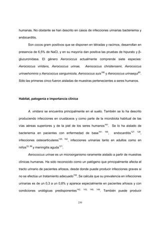 250
humanas. No obstante se han descrito en casos de infecciones urinarias bacteriemia y
endocarditis.
Son cocos gram positivos que se disponen en tétradas y racimos, desarrollan en
presencia de 6,5% de NaCl, y en su mayoría dan positiva las pruebas de hipurato y β-
glucuronidasa. El género Aerococcus actualmente comprende siete especies:
Aerococcus viridans, Aerococcus urinae, Aerococcus christensenii, Aerococcus
urinaehominis y Aerococcus sanguinicola, Aerococcus suis166
y Aerococcus urinaequi60
.
Sólo las primeras cinco fueron aisladas de muestras pertenecientes a seres humanos.
Habitat, patogenia e importancia clínica
A. viridans se encuentra principalmente en el suelo. También se lo ha descrito
produciendo infecciones en crustáceos y como parte de la microbiota habitual de las
vías aéreas superiores y de la piel de los seres humanos161
. Se lo ha aislado de
bacteriemia en pacientes con enfermedad de base161, 165
, endocarditis127, 128
,
infecciones osteoarticulares120, 162
, infecciones urinarias tanto en adultos como en
niños33, 99
y meningitis aguda121
.
Aerococcus urinae es un microorganismo raramente aislado a partir de muestras
clínicas humanas. Ha sido reconocido como un patógeno que principalmente afecta el
tracto urinario de pacientes añosos, desde donde puede producir infecciones graves si
no se efectúa un tratamiento adecuado155
. Se calcula que su prevalencia en infecciones
urinarias es de un 0,3 a un 0,8% y aparece especialmente en pacientes añosos y con
condiciones urológicas predisponentes142, 143, 145, 149
. También puede producir
 