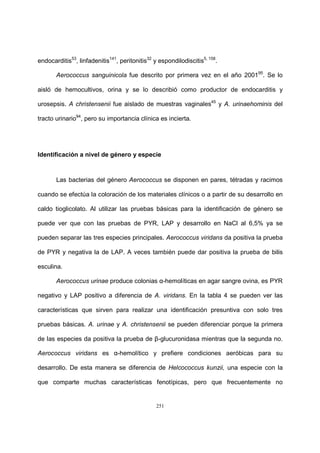 251
endocarditis53
, linfadenitis141
, peritonitis32
y espondilodiscitis5, 158
.
Aerococcus sanguinicola fue descrito por primera vez en el año 200195
. Se lo
aisló de hemocultivos, orina y se lo describió como productor de endocarditis y
urosepsis. A christensenii fue aislado de muestras vaginales45
y A. urinaehominis del
tracto urinario94
, pero su importancia clínica es incierta.
Identificación a nivel de género y especie
Las bacterias del género Aerococcus se disponen en pares, tétradas y racimos
cuando se efectúa la coloración de los materiales clínicos o a partir de su desarrollo en
caldo tioglicolato. Al utilizar las pruebas básicas para la identificación de género se
puede ver que con las pruebas de PYR, LAP y desarrollo en NaCl al 6,5% ya se
pueden separar las tres especies principales. Aerococcus viridans da positiva la prueba
de PYR y negativa la de LAP. A veces también puede dar positiva la prueba de bilis
esculina.
Aerococcus urinae produce colonias α-hemolíticas en agar sangre ovina, es PYR
negativo y LAP positivo a diferencia de A. viridans. En la tabla 4 se pueden ver las
características que sirven para realizar una identificación presuntiva con solo tres
pruebas básicas. A. urinae y A. christensenii se pueden diferenciar porque la primera
de las especies da positiva la prueba de β-glucuronidasa mientras que la segunda no.
Aerococcus viridans es α-hemolítico y prefiere condiciones aeróbicas para su
desarrollo. De esta manera se diferencia de Helcococcus kunzii, una especie con la
que comparte muchas características fenotípicas, pero que frecuentemente no
 