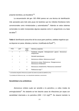 252
presenta hemólisis y es facultativa136
.
La secuenciación del gen 16S rRNA parece ser una técnica de identificación
más apropiada para todo este grupo de bacterias que los métodos fenotípicos tanto
convencionales como miniaturizados y automatizados14
. Además en estos sistemas
comerciales no están incorporadas algunas especies como A. sanguinicola a su base
de datos78
.
Tabla 4. Identificación presuntiva de los cocos gram positivos, catalasa negativos que
se disponen en pares, tétradas y racimos (modificada de Ruoff137
).
PYR LAP NaCl
6,5%
Géneros y especies
+ + + Facklamia languida, Dolosigranulum pigrum, Aerococcus
sanguinicola
+ + - Gemella haemolysans,
+ - + Aerococcus viridans, Helcococcus kunzii*
- + + Aerococcus urinae, Pediococcus, Tetragenococcus
Aerococcus christensenii
-
-
-
+
+
+/-
Aerococcus urinaehominis, Helcococcus sueciensis*
Pediococcus spp.**
* Las bacterias del género Helcococcus pueden dar positiva la prueba de satelitismo (27a).
**Los aislados de Pediococcus spp. son naturalmente resistentes a vancomicina
Sensibilidad a los antibióticos
Aerococcus viridans suele ser sensible a la penicilina y a altos niveles de
aminoglucósidos21
. No obstante se han descrito casos de infecciones por cepas con
sensibilidad intermedia a la penicilina (CIM = 0,5 mg/l)156
. Se observó también la
 