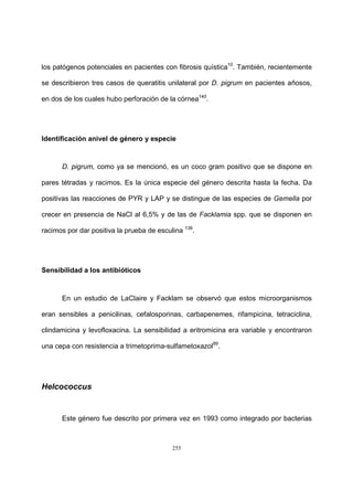 255
los patógenos potenciales en pacientes con fibrosis quística10
. También, recientemente
se describieron tres casos de queratitis unilateral por D. pigrum en pacientes añosos,
en dos de los cuales hubo perforación de la córnea140
.
Identificación anivel de género y especie
D. pigrum, como ya se mencionó, es un coco gram positivo que se dispone en
pares tétradas y racimos. Es la única especie del género descrita hasta la fecha. Da
positivas las reacciones de PYR y LAP y se distingue de las especies de Gemella por
crecer en presencia de NaCl al 6,5% y de las de Facklamia spp. que se disponen en
racimos por dar positiva la prueba de esculina 136
.
Sensibilidad a los antibióticos
En un estudio de LaClaire y Facklam se observó que estos microorganismos
eran sensibles a penicilinas, cefalosporinas, carbapenemes, rifampicina, tetraciclina,
clindamicina y levofloxacina. La sensibilidad a eritromicina era variable y encontraron
una cepa con resistencia a trimetoprima-sulfametoxazol89
.
Helcococcus
Este género fue descrito por primera vez en 1993 como integrado por bacterias
 