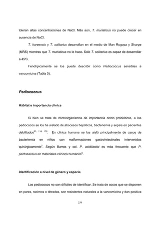 259
toleran altas concentraciones de NaCl. Más aún, T. muriaticus no puede crecer en
ausencia de NaCl.
T. koreensis y T. solitarius desarrollan en el medio de Man Rogosa y Sharpe
(MRS) mientras que T. muriaticus no lo hace. Solo T. solitarius es capaz de desarrollar
a 45°C.
Fenotípicamente se los puede describir como Pediococcus sensibles a
vancomicina (Tabla 5).
Pediococcus
Hábitat e importancia clínica
Si bien se trata de microorganismos de importancia como probióticos, a los
pediococos se los ha aislado de abscesos hepáticos, bacteriemia y sepsis en pacientes
debilitados63, 114, 150
. En clínica humana se los aisló principalmente de casos de
bacteriemia en niños con malformaciones gastrointestinales intervenidos
quirúrgicamente7
. Según Barros y col. P. acidilactici es más frecuente que P.
pentosaceus en materiales clínicos humanos6
.
Identificación a nivel de género y especie
Los pediococos no son difíciles de identificar. Se trata de cocos que se disponen
en pares, racimos o tétradas, son resistentes naturales a la vancomicina y dan positiva
 