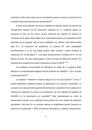 26
contactos es 200 veces mayor que en la población general, aunque la mayoría de los
contactos colonizados permanecen asintomáticos54
.
A pesar de los estudios que se han realizado en distintos países, las razones del
resurgimiento agresivo de las infecciones causadas por S. pyogenes siguen sin
develarse. Si bien se han hecho muchos esfuerzos por analizar los factores de
virulencia de las cepas responsables de la enfermedad invasiva y la respuesta inmune
generada por el paciente, sólo se pudo establecer una relación entre determinados
tipos M y la producción de exotoxinas. La proteína M1 tiene propiedades
proinflamatorias y es así que puede producir daño vascular y tisular mediante la
interacción con el fibrinógeno137
. Las cepas pertenecientes al serotipo M1T1, en los
últimos 30 años, han sido responsables en todo el mundo de infecciones graves5
. No
obstante otros serotipos han estado implicados en casos de SSTE 24, 133
.
Los métodos convencionales de tipificación de cepas de S. pyogenes están
basados en la especificidad antigénica de las proteínas de superficie T y M y el factor
de opacidad sérica106
.
La proteína T resistente a tripsina integra los pili de esta bacteria155
. El tipo T
puede identificarse mediante pruebas de aglutinación con reactivos comerciales. La
variación de la secuencia del segmento N-terminal de la proteína M es la base de los
sistemas de tipificación de cepas por precipitación. Se han validado 93 serotipos M
(M1-M93) en la clasificación de Lancefield76
. Más recientemente se utilizó la
secuenciación del gen emm, codificante de la proteína M, como método de tipificación
equivalente. Para este fin, se requiere realizar la amplificación génica (reacción en
cadena de la polimerasa = PCR), purificación del amplicón y posterior secuenciación.
 