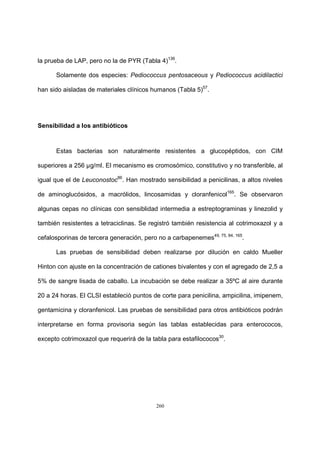 260
la prueba de LAP, pero no la de PYR (Tabla 4)136
.
Solamente dos especies: Pediococcus pentosaceous y Pediococcus acidilactici
han sido aisladas de materiales clínicos humanos (Tabla 5)57
.
Sensibilidad a los antibióticos
Estas bacterias son naturalmente resistentes a glucopéptidos, con CIM
superiores a 256 µg/ml. El mecanismo es cromosómico, constitutivo y no transferible, al
igual que el de Leuconostoc86
. Han mostrado sensibilidad a penicilinas, a altos niveles
de aminoglucósidos, a macrólidos, lincosamidas y cloranfenicol165
. Se observaron
algunas cepas no clínicas con sensiblidad intermedia a estreptograminas y linezolid y
también resistentes a tetraciclinas. Se registró también resistencia al cotrimoxazol y a
cefalosporinas de tercera generación, pero no a carbapenemes49, 75, 84, 165
.
Las pruebas de sensibilidad deben realizarse por dilución en caldo Mueller
Hinton con ajuste en la concentración de cationes bivalentes y con el agregado de 2,5 a
5% de sangre lisada de caballo. La incubación se debe realizar a 35ºC al aire durante
20 a 24 horas. El CLSI estableció puntos de corte para penicilina, ampicilina, imipenem,
gentamicina y cloranfenicol. Las pruebas de sensibilidad para otros antibióticos podrán
interpretarse en forma provisoria según las tablas establecidas para enterococos,
excepto cotrimoxazol que requerirá de la tabla para estafilococos30
.
 