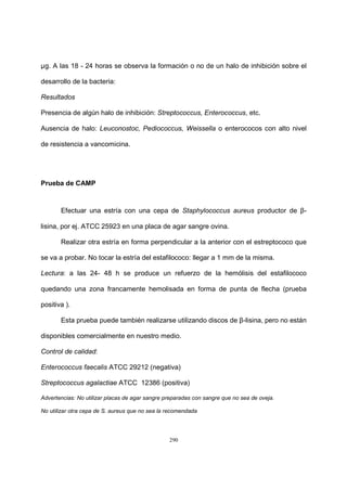 290
µg. A las 18 - 24 horas se observa la formación o no de un halo de inhibición sobre el
desarrollo de la bacteria:
Resultados
Presencia de algún halo de inhibición: Streptococcus, Enterococcus, etc.
Ausencia de halo: Leuconostoc, Pediococcus, Weissella o enterococos con alto nivel
de resistencia a vancomicina.
Prueba de CAMP
Efectuar una estría con una cepa de Staphylococcus aureus productor de β-
lisina, por ej. ATCC 25923 en una placa de agar sangre ovina.
Realizar otra estría en forma perpendicular a la anterior con el estreptococo que
se va a probar. No tocar la estría del estafilococo: llegar a 1 mm de la misma.
Lectura: a las 24- 48 h se produce un refuerzo de la hemólisis del estafilococo
quedando una zona francamente hemolisada en forma de punta de flecha (prueba
positiva ).
Esta prueba puede también realizarse utilizando discos de β-lisina, pero no están
disponibles comercialmente en nuestro medio.
Control de calidad:
Enterococcus faecalis ATCC 29212 (negativa)
Streptococcus agalactiae ATCC 12386 (positiva)
Advertencias: No utilizar placas de agar sangre preparadas con sangre que no sea de oveja.
No utilizar otra cepa de S. aureus que no sea la recomendada
 