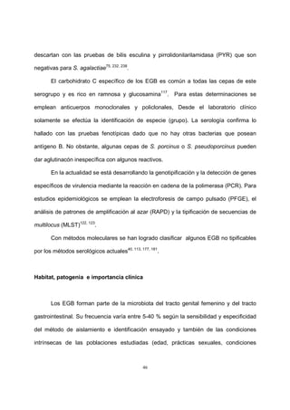 46
descartan con las pruebas de bilis esculina y pirrolidonilarilamidasa (PYR) que son
negativas para S. agalactiae75, 232, 238
.
El carbohidrato C específico de los EGB es común a todas las cepas de este
serogrupo y es rico en ramnosa y glucosamina117
. Para estas determinaciones se
emplean anticuerpos monoclonales y policlonales, Desde el laboratorio clínico
solamente se efectúa la identificación de especie (grupo). La serología confirma lo
hallado con las pruebas fenotípicas dado que no hay otras bacterias que posean
antígeno B. No obstante, algunas cepas de S. porcinus o S. pseudoporcinus pueden
dar aglutinacón inespecífica con algunos reactivos.
En la actualidad se está desarrollando la genotipificación y la detección de genes
específicos de virulencia mediante la reacción en cadena de la polimerasa (PCR). Para
estudios epidemiológicos se emplean la electroforesis de campo pulsado (PFGE), el
análisis de patrones de amplificación al azar (RAPD) y la tipificación de secuencias de
multilocus (MLST)122, 123
.
Con métodos moleculares se han logrado clasificar algunos EGB no tipificables
por los métodos serológicos actuales40, 113, 177, 181
.
Habitat, patogenia e importancia clínica
Los EGB forman parte de la microbiota del tracto genital femenino y del tracto
gastrointestinal. Su frecuencia varía entre 5-40 % según la sensibilidad y especificidad
del método de aislamiento e identificación ensayado y también de las condiciones
intrínsecas de las poblaciones estudiadas (edad, prácticas sexuales, condiciones
 