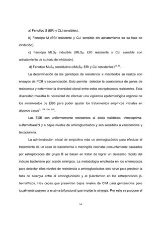 54
a) Fenotipo S (ERI y CLI sensibles).
b) Fenotipo M (ERI resistente y CLI sensible sin achatamiento de su halo de
inhibición).
c) Fenotipo MLSB inducible (iMLSB: ERI resistente y CLI sensible con
achatamiento de su halo de inhibición).
d) Fenotipo MLSB constitutivo (cMLSB: ERI y CLI resistentes)42, 55
.
La determinación de los genotipos de resistencia a macrólidos se realiza con
ensayos de PCR y secuenciación. Esto permite detectar la coexistencia de genes de
resistencia y determinar la diversidad clonal entre estos estreptococos resistentes. Esta
diversidad muestra la necesidad de efectuar una vigilancia epidemiológica regional de
los aislamientos de EGB para poder ajustar los tratamientos empíricos iniciales en
algunos casos3, 129, 154, 218
.
Los EGB son uniformemente resistentes al ácido nalidíxico, trimetoprima-
sulfametoxazol y a bajos niveles de aminoglucósidos y son sensibles a vancomicina y
teicoplanina.
La administración inicial de ampicilina más un aminoglucósido para efectuar el
tratamiento de un caso de bacteriemia o meningitis neonatal presuntamente causadas
por estreptococos del grupo B se basan en tratar de lograr un descenso rápido del
inóculo bacteriano por acción sinérgica. La metodología empleada en los enterococos
para detectar altos niveles de resistencia a aminoglucósidos solo sirve para predecir la
falta de sinergia entre el aminoglucósido y el β-lactámico en los estreptococos β-
hemolíticos. Hay cepas que presentan bajos niveles de CIM para gentamicina pero
igualmente poseen la enzima bifuncional que impide la sinergia. Por esto se propone el
 