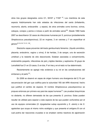 57
otros tres grupos designados como C1, 5916T y 7155ª 43
. Los miembros de esta
especie históricamente han sido aislados de infecciones del cerdo (linfadenitis,
neumonía, aborto, endocarditis y sepsis), de otros animales como bovinos, ovinos,
cobayos, conejos y perros e incluso a partir de animales sanos235
. Desde 1960 hasta
2007 se describieron 32 casos de infecciones humanas por S. porcinus (probablemente
Streptococcus pseudoporcinus), 22 en mujeres, 3 en varones y 7 sin especificar el
género45, 64, 66, 73,141, 169
.
Dieciocho cepas provenían del tracto genitourinario femenino (líquido amniótico,
placenta, endocérvix, vagina u orina), 6 de heridas, 3 de sangre, una de secreción
umbilical y la restante de sitio desconocido. Estaban asociadas a corioamnionitis,
endometritis posparto, infecciónes de piel y tejidos blandos y septicemia. El grupo de
Lancefield fue C1 en 23 casos, E en dos, P en tres y en el resto no fue determinado.
Recientemente se agregó más evidencia a su rol en las complicaciones del
embarazo y el parto172
.
En 2006 se observó en cepas de origen humano una divergencia del 2,1% por
secuenciación del gen que codifica para la subunidad 16S del ARN ribosomal, hecho
que justificó el cambio de especie. El nombre Streptococcus pseudoporcinus se
propuso entonces por primera vez para las cepas humanas12
. Las pruebas bioquímicas
no obstante, no difieren demasiado de las que presenta S. porcinus. Estas pueden
resultar de utilidad para separar a esta especie de las que pueden confundirse por el
uso de equipos comerciales (S. dysgalactiae subsp equisimilis y S. uberis) o de S.
agalactiae que ocupa el mismo nicho ecológico y que presenta el antígeno B con el
cual podría dar reacciones cruzadas si se emplean ciertos reactivos de aglutinación
 