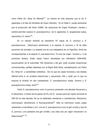 58
como Patho Dx. Strep kit (Remel)211
. La colonia es más pequeña que la de S.
agalactiae y el halo de hemólisis de mayor diámetro. En la Tabla 5 puede apreciarse
que la producción del factor CAMP, las reacciones de Voges Proskauer, manitol y
sorbitol permiten separar S. pseudoporcinus de S. agalactiae, S, dysgalactiae subsp.
equisimilis y S. uberis138
.
En un estudio reciente se estudiaron 97 cepas de S. porcinus y S.
pseudoporcinus. Diecinueve pertenecían a la especie S. porcinus y 18 de ellas
provenían de animales. La restante era de una trabajadora de un frigorífico. Entre las
correspondientes a la especie S. pseudoporcinus, 72 eran de origen humano y 6 de
productos lácteos. Estas cepas fueron estudiadas por hibridación ADN-ADN,
secuenciación de la subunidad 16S ribosomal y del gen rpoB, pruebas bioquímicas
convencionales, perfiles obtenidos con el Rapid ID32 Strep, serotipificación con Patho
Dx. Strep kit y sensibilidad antibiótica. Se vio que las cepas humanas y las lácteas
diferían´entre sí en pruebas bioquímicas y secuencias 16S y rpoB, por lo que se
propuso la división en dos subespecies: S. pseudoporcinus subsp. hominis y S.
pseudoporcinus subsp. lactis195
.
Tanto S. pseudoporcinus como S porcinus presentan una elevada frecuencia a
la tetraciclina, a través de los genes tet M y tet O, aunque para las cepas humanas la
CIM 50 es más elevada. No se ha detectado resistencia a, β-lactámicos, rifampicina,
cotrimoxazol, cloranfenicol, ni fluoroquinolonas64
. Sólo se informaron cuatro cepas
resistentes a macrólidos y CLI: una de S. pseudoporcinus (con el gen erm(A) y dos de
S. porcinus, una portadora del gen erm(B) y las otras dos por algún mecanismo no
determinado89, 195
.
 