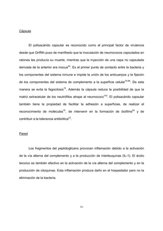 93
Cápsula
El polisacárido capsular es reconocido como el principal factor de virulencia
desde que Griffith puso de manifiesto que la inoculación de neumococos capsulados en
ratones les producía su muerte, mientras que la inyección de una cepa no capsulada
derivada de la anterior era inocua49
. Es el primer punto de contacto entre la bacteria y
los componentes del sistema inmune e impide la unión de los anticuerpos y la fijación
de los componentes del sistema de complemento a la superficie celular70,89
. De esta
manera se evita la fagocitosis72
. Además la cápsula reduce la posibilidad de que la
matriz extracelular de los neutrófilos atrape al neumococo143
. El polisacárido capsular
también tiene la propiedad de facilitar la adhesión a superficies, de realizar el
reconocimiento de moléculas75
, de intervenir en la formación de biofilms93
y de
contribuir a la tolerancia antibiótica43
.
Pared
Los fragmentos del peptidoglicano provocan inflamación debido a la activación
de la vía alterna del complemento y a la producción de interleuquinas (IL-1). El ácido
teicoico es también efectivo en la activación de la vía alterna del complemento y en la
producción de citoquinas. Esta inflamación produce daño en el hospedador pero no la
eliminación de la bacteria.
 