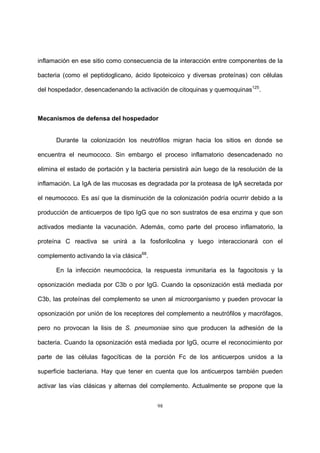 98
inflamación en ese sitio como consecuencia de la interacción entre componentes de la
bacteria (como el peptidoglicano, ácido lipoteicoico y diversas proteínas) con células
del hospedador, desencadenando la activación de citoquinas y quemoquinas125
.
Mecanismos de defensa del hospedador
Durante la colonización los neutrófilos migran hacia los sitios en donde se
encuentra el neumococo. Sin embargo el proceso inflamatorio desencadenado no
elimina el estado de portación y la bacteria persistirá aún luego de la resolución de la
inflamación. La IgA de las mucosas es degradada por la proteasa de IgA secretada por
el neumococo. Es así que la disminución de la colonización podría ocurrir debido a la
producción de anticuerpos de tipo IgG que no son sustratos de esa enzima y que son
activados mediante la vacunación. Además, como parte del proceso inflamatorio, la
proteína C reactiva se unirá a la fosforilcolina y luego interaccionará con el
complemento activando la vía clásica68
.
En la infección neumocócica, la respuesta inmunitaria es la fagocitosis y la
opsonización mediada por C3b o por IgG. Cuando la opsonización está mediada por
C3b, las proteínas del complemento se unen al microorganismo y pueden provocar la
opsonización por unión de los receptores del complemento a neutrófilos y macrófagos,
pero no provocan la lisis de S. pneumoniae sino que producen la adhesión de la
bacteria. Cuando la opsonización está mediada por IgG, ocurre el reconocimiento por
parte de las células fagocíticas de la porción Fc de los anticuerpos unidos a la
superficie bacteriana. Hay que tener en cuenta que los anticuerpos también pueden
activar las vías clásicas y alternas del complemento. Actualmente se propone que la
 