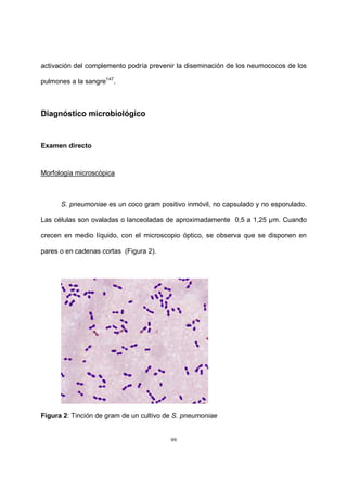 99
activación del complemento podría prevenir la diseminación de los neumococos de los
pulmones a la sangre147
.
Diagnóstico microbiológico
Examen directo
Morfología microscópica
S. pneumoniae es un coco gram positivo inmóvil, no capsulado y no esporulado.
Las células son ovaladas o lanceoladas de aproximadamente 0,5 a 1,25 µm. Cuando
crecen en medio líquido, con el microscopio óptico, se observa que se disponen en
pares o en cadenas cortas (Figura 2).
Figura 2: Tinción de gram de un cultivo de S. pneumoniae
 