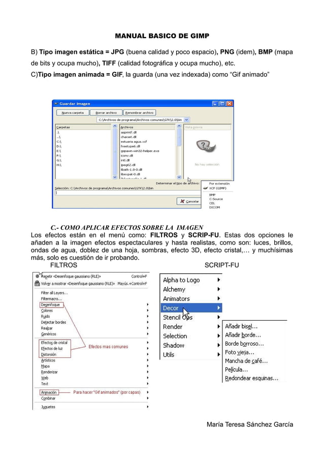 Manual basico de gimp | PDF
