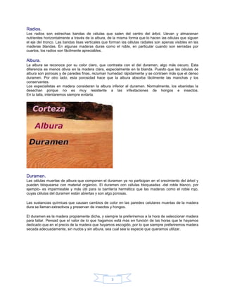Radios.
Los radios son estrechas bandas de células que salen del centro del árbol. Llevan y almacenan
nutrientes horizontalmente a través de la albura, de la misma forma que lo hacen las células que siguen
el eje del tronco. Las bandas lisas verticales que forman las células radiales son apenas visibles en las
maderas blandas. En algunas maderas duras como el roble, en particular cuando son serradas por
cuartos, los radios son fácilmente apreciables.

Albura.
La albura se reconoce por su color claro, que contrasta con el del duramen, algo más oscuro. Esta
diferencia es menos obvia en la madera clara, especialmente en la blanda. Puesto que las células de
albura son porosas y de paredes finas, rezuman humedad rápidamente y se contraen más que el denso
duramen. Por otro lado, esta porosidad hace que la albura absorba fácilmente las manchas y los
conservantes.
Los especialistas en madera consideran la albura inferior al duramen. Normalmente, los ebanistas la
desechan porque no es muy resistente a las infestaciones de hongos e insectos.
En la talla, intentaremos siempre evitarla.




Duramen.
Las células muertas de albura que componen el duramen ya no participan en el crecimiento del árbol y
pueden bloquearse con material orgánico. El duramen con células bloqueadas -del roble blanco, por
ejemplo- es impermeable y más útil para la barrilería hermética que las maderas como el roble rojo,
cuyas células del duramen están abiertas y son algo porosas.

Las sustancias químicas que causan cambios de color en las paredes celulares muertas de la madera
dura se llaman extractivos y preservan de insectos y hongos.

El duramen es la madera propiamente dicha, y siempre la preferiremos a la hora de seleccionar madera
para tallar. Pensad que el valor de lo que hagamos está más en función de las horas que le hayamos
dedicado que en el precio de la madera que hayamos escogido, por lo que siempre preferiremos madera
secada adecuadamente, sin nudos y sin albura, sea cual sea la especie que queramos utilizar.




                                                   3
 