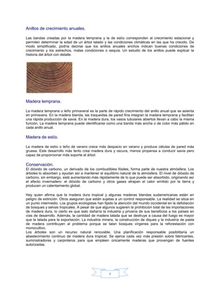 Anillos de crecimiento anuales.

Las bandas creadas por la madera temprana y la de estío corresponden al crecimiento estacional y
permiten determinar la edad de un árbol talado y las condiciones climáticas en las que ha crecido. De
modo simplificado, podría decirse que los anillos anuales anchos indican buenas condiciones de
crecimiento y los estrechos, malas condiciones o sequía. Un estudio de los anillos puede explicar la
historia del árbol con detalle.




Madera temprana.

La madera temprana o leño primaveral es la parte de rápido crecimiento del anillo anual que se asienta
en primavera. En la madera blanda, las traqueidas de pared fina integran la madera temprana y facilitan
una rápida producción de savia. En la madera dura, los vasos tubulares abiertos llevan a cabo la misma
función. La madera temprana puede identificarse como una banda más ancha o de color más pálido en
cada anillo anual.

Madera de estío.

La madera de estío o leño de verano crece más despacio en verano y produce células de pared más
gruesa. Este desarrollo más lento crea madera dura y oscura, menos propensa a conducir savia pero
capaz de proporcionar más soporte al árbol.

Conservación.
El dióxido de carbono, un derivado de los combustibles fósiles, forma parte de nuestra atmósfera. Los
árboles lo absorben y ayudan así a mantener el equilibrio natural de la atmósfera. El nivel de dióxido de
carbono, sin embargo, está aumentando más rápidamente de lo que puede ser absorbido, originando así
el efecto invernadero: el dióxido de carbono y otros gases atrapan el calor emitido por la tierra y
producen un calentamiento global.

Hay quien afirma que la madera dura tropical y algunas maderas blandas sudamericanas están en
peligro de extinción. Otros aseguran que están sujetas a un control responsable. La realidad se sitúa en
un punto intermedio. Los grupos ecologistas han fijado la atención del mundo occidental en la defoliación
de bosques y selvas tropicales. A pesar de que algunos sugieren la prohibición total de las importaciones
de madera dura, lo cierto es que esto dañaría la industria y privaría de sus beneficios a los países en
vías de desarrollo. Además, la cantidad de madera talada que se destruye a causa del fuego es mayor
que la talada para la exportación. La industria minera, la construcción de diques y la industria de pasta
de madera contribuyen al problema porque se talan bosques vírgenes para la reforestación con
monocultivo.
Los árboles son un recurso natural renovable. Una planificación responsable posibilitaría un
abastecimiento continuo de madera dura tropical. Se ejerce cada vez más presión sobre fabricantes,
suministradores y carpinteros para que empleen únicamente maderas que provengan de fuentes
autorizadas.




                                                   4
 