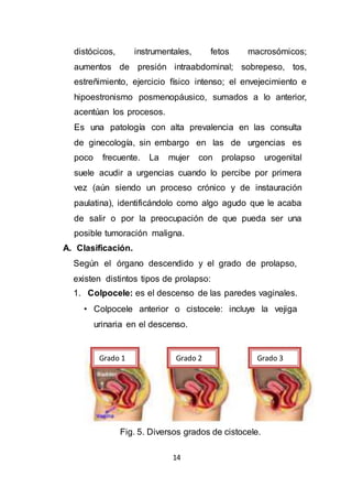 14
distócicos, instrumentales, fetos macrosómicos;
aumentos de presión intraabdominal; sobrepeso, tos,
estreñimiento, ejercicio físico intenso; el envejecimiento e
hipoestronismo posmenopáusico, sumados a lo anterior,
acentúan los procesos.
Es una patología con alta prevalencia en las consulta
de ginecología, sin embargo en las de urgencias es
poco frecuente. La mujer con prolapso urogenital
suele acudir a urgencias cuando lo percibe por primera
vez (aún siendo un proceso crónico y de instauración
paulatina), identificándolo como algo agudo que le acaba
de salir o por la preocupación de que pueda ser una
posible tumoración maligna.
A. Clasificación.
Según el órgano descendido y el grado de prolapso,
existen distintos tipos de prolapso:
1. Colpocele: es el descenso de las paredes vaginales.
• Colpocele anterior o cistocele: incluye la vejiga
urinaria en el descenso.
Fig. 5. Diversos grados de cistocele.
Grado 1 Grado 2 Grado 3
 