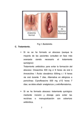 2
Fig.1. Bartolinitis
C. Tratamiento.
 Si no se ha formado un absceso (aunque la
mayoría de las pacientes consultan en fase más
avanzada siendo necesario el tratamiento
quirúrgico):
Tratamiento antibiótico para evitar la formación del
absceso: Cloxacilina 500 mg c/ 8 horas vía oral ó
Amoxicilina / Ácido clavulánico 500mg c / 8 horas
vía oral durante 7 días. Alternativa en alérgicos a
penicilinas: Ciprofloxacino 500 mg c/12 horas 7
días; se debe añadir analgésicos y antiinflamatorios.
 Si se ha formado absceso: tratamiento quirúrgico
mediante incisión y drenaje para evitar las
recidivas o marsupialización con cobertura
antibiótica.
 