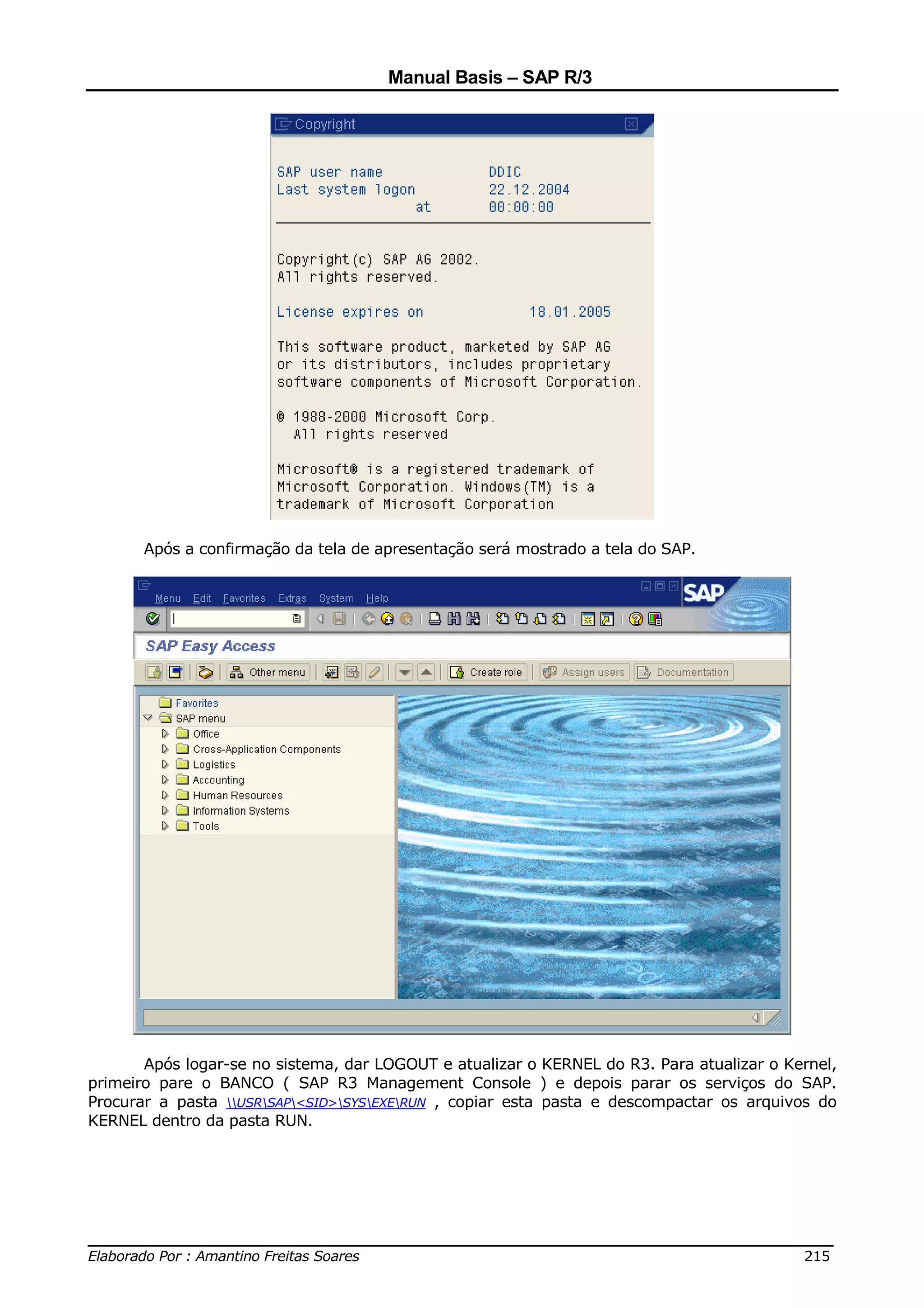Manual Basis – SAP R/3




       Após a confirmação da tela de apresentação será mostrado a tela do SAP.




       Após logar-se no sistema, dar LOGOUT e atualizar o KERNEL do R3. Para atualizar o Kernel,
primeiro pare o BANCO ( SAP R3 Management Console ) e depois parar os serviços do SAP.
Procurar a pasta USRSAP<SID>SYSEXERUN , copiar esta pasta e descompactar os arquivos do
KERNEL dentro da pasta RUN.




______________________________________________________________________________
Elaborado Por : Amantino Freitas Soares                                    215
 
