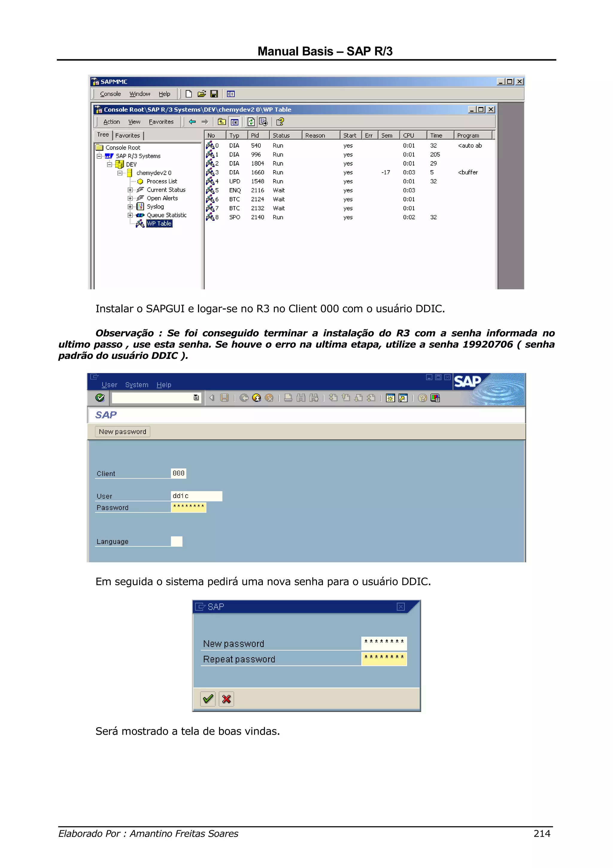 Manual Basis – SAP R/3




       Instalar o SAPGUI e logar-se no R3 no Client 000 com o usuário DDIC.

       Observação : Se foi conseguido terminar a instalação do R3 com a senha informada no
ultimo passo , use esta senha. Se houve o erro na ultima etapa, utilize a senha 19920706 ( senha
padrão do usuário DDIC ).




       Em seguida o sistema pedirá uma nova senha para o usuário DDIC.




       Será mostrado a tela de boas vindas.




______________________________________________________________________________
Elaborado Por : Amantino Freitas Soares                                    214
 