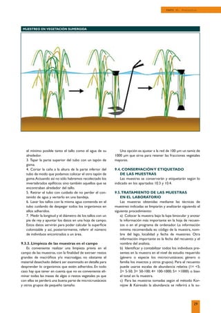 el mínimo posible tanto el tallo como el agua de su
alrededor.
3. Tapar la parte superior del tubo con un tapón de
goma.
4. Cortar la caña a la altura de la parte inferior del
tubo de modo que podamos colocar el otro tapón de
goma.Actuando así no sólo habremos recolectado los
invertebrados epifíticos sino también aquellos que se
encontraban alrededor del tallo.
5. Retirar el tubo con cuidado de no perder el con-
tenido de agua y verterlo en una bandeja.
6. Lavar los tallos con la misma agua contenida en el
tubo cuidando de despegar todos los organismos en
ellos adheridos.
7. Medir la longitud y el diámetro de los tallos con un
pie de rey y apuntar los datos en una hoja de campo.
Estos datos servirán para poder calcular la superﬁcie
colonizable y así, posteriormente, referir el número
de individuos encontrados a un área.
9.3.3. Limpieza de las muestras en el campo
Es conveniente realizar una limpieza previa en el
campo de las muestras, con la ﬁnalidad de extraer restos
grandes de macróﬁtos y/o macroalgas; no obstante el
material desechado deberá ser examinado en detalle para
desprender lo organismos que estén adheridos. En todo
caso hay que tener en cuenta que no es conveniente eli-
minar todas las masas de algas o restos vegetales ya que
con ellas se perderá una buena parte de microcrustáceos
y otros grupos de pequeño tamaño.
Una opción es ajustar a la red de 100 µm un tamiz de
1000 µm que sirva para retener las fracciones vegetales
mayores.
9.4. CONSERVACIÓNY ETIQUETADO
DE LAS MUESTRAS
Las muestras se conservarán y etiquetarán según lo
indicado en los apartados 10.3 y 10.4.
9.5.TRATAMIENTO DE LAS MUESTRAS
EN EL LABORATORIO
Las muestras obtenidas mediante las técnicas de
muestreo indicadas se limpiarán y analizarán siguiendo el
siguiente procedimiento:
a) Colocar la muestra bajo la lupa binocular y anotar
la información más importante en la hoja de recuen-
tos o en el programa de ordenador. La información
mínima recomendada es: código de la muestra, nom-
bre del lago, localidad y fecha de muestreo. Otra
información importante es la fecha del recuento y el
nombre del analista.
b) Identiﬁcar y contabilizar todos los individuos pre-
sentes en la muestra en el nivel de estudio requerido
(género o especie los microcrustáceos; género o
familia los insectos y otros grupos). Para el recuento
puede usarse escalas de abundancia relativa (1= 5;
2= 5-50; 3= 50-100; 4= 100-1000; 5= 1000) o bien
el total en la muestra.
c) Para las muestras tomadas según el método Kor-
nijow  Kairesalo la abundancia se referirá a la su-
MUESTREO EN VEGETACIÓN SUMERGIDA
29
PARTE II. Protocolos
 