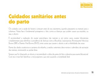 11
Boas Práticas de Manejo
BEZERROS
Ao Nascimento
Ministério da Agricultura, Pecuária e Abastecimento
Cuidados sanitários antes
do parto
Os cuidados com a saúde do bezerro começam antes do seu nascimento, quando preparamos as matrizes para a
cobertura. Nesta fase é fundamental protegermos o feto contra as doenças que podem causar sua expulsão, ou
seja, o aborto.
É recomendável a realização do exame ginecológico das matrizes e, em certos casos, exames laboratoriais
complementares para identificar a prevalência de doenças como a Brucelose, Leptospirose, Rinotraqueíte Infecciosa
Bovina (IBR) e Diarréia Viral Bovina (BVD), entre outras que causam o aborto e até a infertilidade das vacas.
Diante dos dados zootécnicos e sanitários do rebanho, o médico veterinário deve montar o calendário de vacinação
das matrizes, minimizando as perdas fetais.
Sempre que for observado um aborto, é recomendável a coleta de partes do feto e placenta para exame laboratorial.
Com isto é mais fácil identificar o microorganismo que está causando a mortalidade fetal.
 