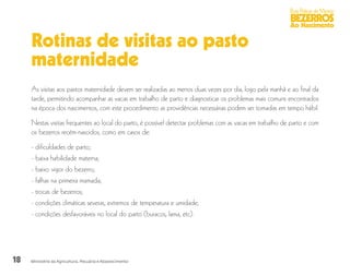 18
Boas Práticas de Manejo
BEZERROS
Ao Nascimento
Ministério da Agricultura, Pecuária e Abastecimento
Rotinas de visitas ao pasto
maternidade
As visitas aos pastos maternidade devem ser realizadas ao menos duas vezes por dia, logo pela manhã e ao final da
tarde, permitindo acompanhar as vacas em trabalho de parto e diagnosticar os problemas mais comuns encontrados
na época dos nascimentos, com este procedimento as providências necessárias podem ser tomadas em tempo hábil.
Nestas visitas frequentes ao local do parto, é possível detectar problemas com as vacas em trabalho de parto e com
os bezerros recém-nascidos, como em casos de:
- dificuldades de parto;
- baixa habilidade materna;
- baixo vigor do bezerro;
- falhas na primeira mamada;
- trocas de bezerros;
- condições climáticas severas, extremos de temperatura e umidade;
- condições desfavoráveis no local do parto (buracos, lama, etc).
 