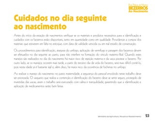 23
Boas Práticas de Manejo
BEZERROS
Ao Nascimento
Ministério da Agricultura, Pecuária e Abastecimento
Cuidados no dia seguinte
ao nascimento
Antes do início da estação de nascimentos verifique se os materiais e produtos necessários para a identificação e
cuidados com os bezerros estão disponíveis, tanto em quantidade como em qualidade. Providencie a compra dos
materiais que estiverem em falta no estoque, com data de validade vencida ou em mal estado de conservação.
Os procedimentos para identificação, assepsia do umbigo, aplicação de vermífugo e pesagem dos bezerros devem
ser efetuados no dia seguinte ao parto, para não interferir na formação do vínculo materno-filial. Quando estes
manejos são realizados no dia do nascimento há maior risco de rejeição materna e da vaca pisotear o bezerro. Por
outro lado, se os manejos ocorrem mais tarde, a partir do terceiro dia de vida do bezerro, será mais difícil contê-lo,
pois nesta idade já é bastante ágil e, além disso, há maior risco da ocorrência de bicheiras no umbigo.
Ao realizar o manejo do nascimento no pasto maternidade, a segurança do pessoal envolvido neste trabalho deve
ser priorizada. O vaqueiro que realiza a contenção e identificação do bezerro deve se sentir seguro, protegido de
investidas das vacas; assim o trabalho será executado com calma e tranquilidade, garantindo que a identificação e
aplicação de medicamentos serão bem feitas.
 