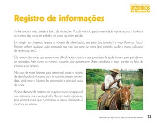 33
Boas Práticas de Manejo
BEZERROS
Ao Nascimento
Ministério da Agricultura, Pecuária e Abastecimento
Registro de informações
Tenha sempre à mão canetas e bloco de anotações. A cada visita ao pasto maternidade registre a data, o horário e
os números das vacas em trabalho de parto ou recém-paridas.
Em relação aos bezerros, registrar o número de identificação, seu peso (ou tamanho) e vigor (bom ou fraco).
Registre também qualquer ação executada que não faça parte da rotina (por exemplo, ajudar a mamar, aplicação
de antibiótico, etc.).
Os números das vacas que apresentaram dificuldades no parto e que precisaram de ajuda humana para parir devem
ser registrados, bem como os números daquelas que apresentarem úbere penduloso e tetos grandes ou falta de
interesse pelo bezerro.
No caso de morte (mesmo para natimortos) anote o número
de identificação do bezerro ou o de sua mãe; registre também:
data, local onde o bezerro foi encontrado e provável causa
da morte.
Apesar da morte de bezerros ser um ponto muito desagradável
num sistema de cria, a anotação dos óbitos é muito importante,
pois permitirá evitar que o problema se repita, otimizando a
eficiência do sistema.
 