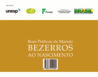 Boas práticas de manejo de bezerros
