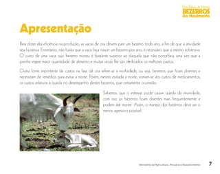 7
Boas Práticas de Manejo
BEZERROS
Ao Nascimento
Ministério da Agricultura, Pecuária e Abastecimento
Para obter alta eficiência na produção, as vacas de cria devem parir um bezerro todo ano, a fim de que a atividade
seja lucrativa. Entretanto, não basta que a vaca faça nascer um bezerro por ano, é necessário que o mesmo sobreviva.
O custo de uma vaca cujo bezerro morreu é bastante superior ao daquela que não concebeu, uma vez que a
prenhe ingere maior quantidade de alimento e muitas vezes lhe são dedicados os melhores pastos.
Outra fonte importante de custos na fase de cria refere-se à morbidade, ou seja, bezerros que ficam doentes e
necessitam de remédios para evitar a morte. Porém, mesmo evitada a morte, somam-se aos custos de medicamentos,
os custos relativos à queda no desempenho destes bezerros, que certamente ocorrerão.
Apresentação
Sabemos que o estresse pode causar queda de imunidade,
com isso os bezerros ficam doentes mais frequentemente e
podem até morrer. Assim, o manejo dos bezerros deve ser o
menos agressivo possível.
 