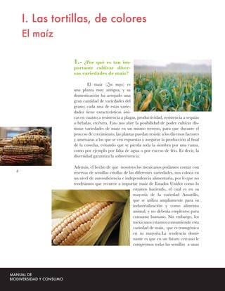 I. Las tortillas, de colores
    El maíz

               1.-  ¿Por qué es tan im-
               portante cultivar diver-
               sas variedades de maíz?

                       El maíz (Zea mays) es
               una planta muy antigua, y su
               domesticación ha arrojado una
               gran cantidad de variedades del
               grano; cada una de estas varie-
               dades tiene características úni-
               cas en cuanto a resistencia a plagas, productividad, resistencia a sequías
               o heladas, etcétera. Esto nos abre la posibilidad de poder cultivar dis-
               tintas variedades de maíz en un mismo terreno, para que durante el
               proceso de crecimiento, las plantas puedan resistir a los diversos factores
               y amenazas a los que se ven expuestas y asegurar la producción al ﬁnal
               de la cosecha, evitando que se pierda toda la siembra por una causa,
               como por ejemplo por falta de agua o por exceso de frío. Es decir, la
               diversidad garantiza la sobrevivencia.

               Además, el hecho de que nosotros los mexicanos podamos contar con
4              reservas de semillas criollas de las diferentes variedades, nos coloca en
               un nivel de autosuﬁciencia e independencia alimentaria, por lo que no
               tendríamos que recurrir a importar maíz de Estados Unidos como lo
                                                  estamos haciendo, el cual es en su
                                                  mayoría de la variedad Amarillo,
                                                  que se utiliza ampliamente para su
                                                  industrialización y como alimento
                                                  animal, y no debería emplearse para
                                                  consumo humano. Sin embargo, los
                                                  mexicanos estamos consumiendo esta
                                                  variedad de maíz, que es transgénico
                                                  en su mayoría.La tendencia domi-
                                                  nante es que en un futuro cercano le
                                                  compremos todas las semillas a unas
 