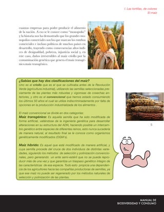 I. Las tortillas, de colores
                                                                                                  El maíz




cuantas empresas para poder producir el alimento
de la nación. A eso se le conoce como “monopolio”
y la historia nos ha demostrado que los grandes mo-
nopolios comerciales son los que marcan los rumbos
comerciales e incluso políticos de muchos países en
desarrollo, trayendo como consecuencias altos índi-
ces de desigualdad, pobreza, injusticia social y, en
este caso, daños irreversibles al maíz criollo por la
contaminación genética que genera el maíz transgé-
nico.maíz transgénico.




¿Sabías que hay dos clasiﬁcaciones del maíz?
Uno es el criollo que es el que se cultivaba antes de la Revolución
Verde (agricultura industrial), utilizando las semillas seleccionadas pre-
viamente de las plantas más robustas y vigorosas de cosechas an-
teriores, y otro es el convencional que hemos estado consumiendo
los últimos 50 años el cual se utiliza indiscriminadamente por falta de
opciones en la producción industrializada de los alimentos .

El maíz convencional se divide en dos categorías:
Maíz transgénico: Es aquella semilla que ha sido modiﬁcada de
forma artiﬁcial, valiéndose de la ingeniería genética para desarrollar
alteraciones en su estructura del ADN, haciendo posible un intercam-                               5
bio genético entre especies de diferentes reinos, esto nunca sucedería
de manera natural, al resultado ﬁnal se le conoce como organismos
genéticamente modiﬁcados (OGM´s).

Maíz híbrido: Es aquel que está modiﬁcado de manera artiﬁcial, y
cuya semilla procede del cruce de dos individuos de distintas varie-
dades, siguiendo los métodos de selección y polinización convencio-
nales, pero generando un ente semi-estéril que no se puede repro-
ducir más de una vez y que garantiza un traspaso genético íntegro de
las características de esa especie. Todo esto propicia una dependen-
cia de los agricultores hacia las compañías productoras de semillas, ya
que ese maíz no puede ser regenerado por los métodos naturales de
selección y polinización de las plantas.
 