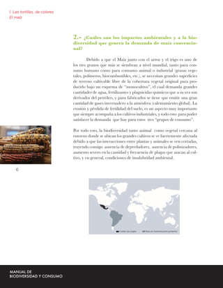I. Las tortillas, de colores
El maíz




                               2.-  ¿Cuáles son los impactos ambientales y a la bio-
                               diversidad que genera la demanda de maíz convencio-
                               nal?

                                        Debido a que el Maíz junto con el arroz y el trigo es uno de
                               los tres granos que más se siembran a nivel mundial, tanto para con-
                               sumo humano como para consumo animal o industrial (grasas vege-
                               tales, polímeros, biocombustibles, etc.), se necesitan grandes superﬁcies
                               de terreno cultivable libre de la cobertura vegetal original para pro-
                               ducirlo bajo un esquema de “monocultivo”, el cual demanda grandes
                               cantidades de agua, fertilizantes y plaguicidas químicos que a su vez son
                               derivados del petróleo, y para fabricarlos se tiene que emitir una gran
                               cantidad de gases invernadero a la atmósfera (calentamiento global). La
                               erosión y pérdida de fertilidad del suelo, es un aspecto muy importante
                               que siempre acompaña a los cultivos industriales, y todo esto para poder
                               satisfacer la demanda que hay para estos tres “grupos de consumo”.

                               Por todo esto, la biodiversidad tanto animal como vegetal cercana al
                               entorno donde se ubican los grandes cultivos se ve fuertemente afectada
                               debido a que las interacciones entre plantas y animales se ven cortadas,
                               trayendo consigo ausencia de depredadores, ausencia de polinizadores,
                               aumento severo en la cantidad y frecuencia de plagas que atacan al cul-
                               tivo, y en general, condiciones de insalubridad ambiental.

    6
 