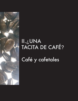 II.¿UNA
TACITA DE CAFÉ?

Café y cafetales
 