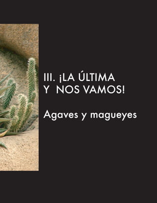 III. ¡LA ÚLTIMA
Y NOS VAMOS!

Agaves y magueyes
 