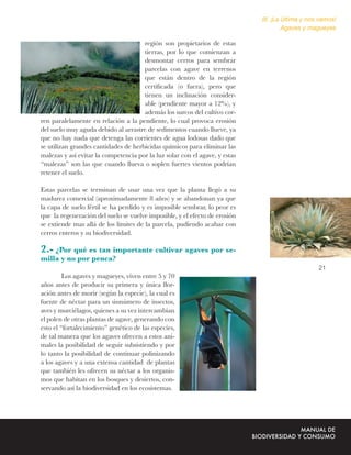 III. ¡La última y nos vamos!
                                                                                      Agaves y magueyes

                                      región son propietarios de estas
                                      tierras, por lo que comienzan a
                                      desmontar cerros para sembrar
                                      parcelas con agave en terrenos
                                      que están dentro de la región
                                      certiﬁcada (o fuera), pero que
                                      tienen un inclinación consider-
                                      able (pendiente mayor a 12%), y
                                      además los surcos del cultivo cor-
ren paralelamente en relación a la pendiente, lo cual provoca erosión
del suelo muy aguda debido al arrastre de sedimentos cuando llueve, ya
que no hay nada que detenga las corrientes de agua lodosas dado que
se utilizan grandes cantidades de herbicidas químicos para eliminar las
malezas y así evitar la competencia por la luz solar con el agave, y estas
“malezas” son las que cuando llueva o soplen fuertes vientos podrían
retener el suelo.

Estas parcelas se terminan de usar una vez que la planta llegó a su
madurez comercial (aproximadamente 8 años) y se abandonan ya que
la capa de suelo fértil se ha perdido y es imposible sembrar, lo peor es
que la regeneración del suelo se vuelve imposible, y el efecto de erosión
se extiende mas allá de los límites de la parcela, pudiendo acabar con
cerros enteros y su biodiversidad.

2.- ¿Por qué es tan importante cultivar agaves por se-
milla y no por penca?
                                                                                                  21
         Los agaves y magueyes, viven entre 5 y 70
años antes de producir su primera y única ﬂor-
ación antes de morir (según la especie), la cual es
fuente de néctar para un sinnúmero de insectos,
aves y murciélagos, quienes a su vez intercambian
el polen de otras plantas de agave, generando con
esto el “fortalecimiento” genético de las especies,
de tal manera que los agaves ofrecen a estos ani-
males la posibilidad de seguir subsistiendo y por
lo tanto la posibilidad de continuar polinizando
a los agaves y a una extensa cantidad de plantas
que también les ofrecen su néctar a los organis-
mos que habitan en los bosques y desiertos, con-
servando así la biodiversidad en los ecosistemas.
 