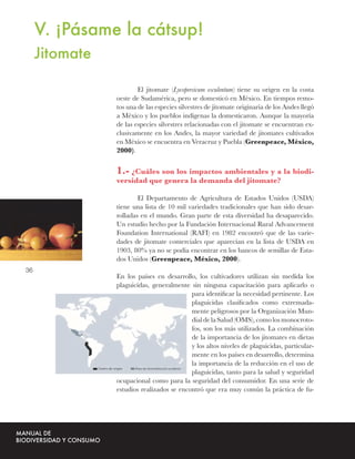 V. ¡Pásame la cátsup!
     Jitomate

                        El jitomate (Lycopersicum esculentum) tiene su origen en la costa
                oeste de Sudamérica, pero se domesticó en México. En tiempos remo-
                tos una de las especies silvestres de jitomate originaria de los Andes llegó
                a México y los pueblos indígenas la domesticaron. Aunque la mayoría
                de las especies silvestres relacionadas con el jitomate se encuentran ex-
                clusivamente en los Andes, la mayor variedad de jitomates cultivados
                en México se encuentra en Veracruz y Puebla (Greenpeace, México,
                2000).


                1.- ¿Cuáles son los impactos ambientales y a la biodi-
                versidad que genera la demanda del jitomate?

                        El Departamento de Agricultura de Estados Unidos (USDA)
                tiene una lista de 10 mil variedades tradicionales que han sido desar-
                rolladas en el mundo. Gran parte de esta diversidad ha desaparecido.
                Un estudio hecho por la Fundación Internacional Rural Advancement
                Foundation International (RAFI) en 1982 encontró que de las varie-
                dades de jitomate comerciales que aparecían en la lista de USDA en
                1903, 80% ya no se podía encontrar en los bancos de semillas de Esta-
                dos Unidos (Greenpeace, México, 2000).
36
                En los países en desarrollo, los cultivadores utilizan sin medida los
                plaguicidas, generalmente sin ninguna capacitación para aplicarlo o
                                           para identiﬁcar la necesidad pertinente. Los
                                           plaguicidas clasiﬁcados como extremada-
                                           mente peligrosos por la Organización Mun-
                                           dial de la Salud (OMS), como los monocroto-
                                           fos, son los más utilizados. La combinación
                                           de la importancia de los jitomates en dietas
                                           y los altos niveles de plaguicidas, particular-
                                           mente en los países en desarrollo, determina
                                           la importancia de la reducción en el uso de
                                           plaguicidas, tanto para la salud y seguridad
                ocupacional como para la seguridad del consumidor. En una serie de
                estudios realizados se encontró que era muy común la práctica de fu-
 