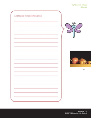 V. ¡Pásame la cátsup!
            Jitomate




              39
 