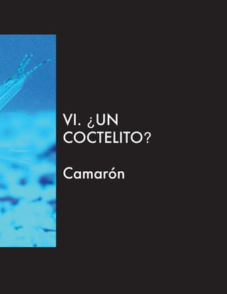 VI. ¿UN
COCTELITO?

Camarón
 