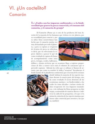 VI. ¿Un coctelito?
     Camarón
               1.- ¿Cuáles son los impactos ambientales y a la biodi-
               versidad que genera la pesca comercial y el consumo del
               camarón, y el camarón de granja?

                       El Camarón (Penaeus sp.) es uno de los productos del mar, fa-
               vorito de la mayoría de los humanos que vivimos en este planeta, por
               su versatilidad para comerse y por
               su sabor. Estas características han
               hecho que el camarón marino sea
               muy demandado por todo el plane-
               ta, y para su captura se requieren
               de técnicas de pesca no selectivas,
               es decir, que no seleccionan la es-
               pecie objetivo a pescar lo que da
               como resultado la captura de fauna
               de acompañamiento como otros
               peces, tortugas, corales, ballenatos,
               delﬁnes y demás etcéteras que en ocasiones llega a registrar propor-
               ciones de diez a catorce veces más el volumen de camarones que se
               pretende capturar. Además las redes que se utilizan se llaman de ar-
               rastre, por que como su nombre lo indica,”arrastran” literalmente el
42             fondo marino de la plataforma continental, que es la zona de lo océanos
                                         donde habitan la mayoría de las especies ma-
                                         rinas durante la mayor parte del tiempo, esto
                                         da como resultado el severo deterioro de los
                                         ecosistemas marinos y su biodiversidad, a los
                                         cuales les toma décadas e incluso cientos de
                                         años recuperarse de esos impactos traumáti-
                                         cos, y sin embargo las ﬂotas pesqueras no dan
                                         tregua, ocasionando de manera directa e indi-
                                         recta la caída de las pesquerías, o lo que es lo
                                         mismo la extinción de las especies marinas que
                                         tienen valor comercial para nosotros y las que
                                         no, también!
 