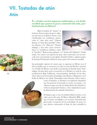 VII. Tostadas de atún
     Atún
               1.- ¿Cuáles son los impactos ambientales y a la biodi-
               versidad que genera la pesca comercial del atún, par-
               ticularmente en México?

                        Bajo el nombre de “atunes” se
               incluyen diversos tipos de peces; algu-
               nos pertenecen al género Tunas y son
               considerados los verdaderos atunes,
               como el “atún aleta azul” (Thunnus
               thynnus), el “atún aleta amarilla” (Thun-
               nus albacares) y la “albácora” (Thunnus
               alalunga), y hay otros cuyas caracter-
               ísticas se consideran similares, como
               el “barrilete” (Katsuwonus pelamis) y el “bonito del Atlántico” (Sarda
               sarda). Los atunes son especies de gran valor comercial, con un mer-
               cado muy concentrado, ya que Japón, Estados Unidos y algunos países
               de Europa Occidental realizan la mayor parte del consumo mundial.

               Las principales especies de atunes que se capturan en México son el
               aleta amarilla, que se encuentra en toda la costa del Paciﬁco oriental;
               en el Golfo de México está desde la península de Florida hasta Tam-
               aulipas. El atún aleta azul se encuentra en el Pacíﬁco en toda la costa
48             occidental de Baja California, concentrándose alrededor de las islas,
               sobre todo en las Coronado, Guadalupe, San Benito y Margarita; en el
               Golfo de México vive desde Tamaulipas hasta Yucatán. Otros atunes,
                               como el barrilete, se destinan a la industria enlatadora
                               que los presenta al mercado en aceite, en tomate o en
                               salmuera (agua con sal); los desperdicios del enlatado se
                               reducen preparando harina y otros subproductos para
                               la alimentación de animales domésticos.

                               El impacto que se da a la biodiversidad oceánica, es la
                               sobre pesca del atún, El Banco Mundial (BM) señala
                               que el avance tecnológico y la creciente demanda han
                               provocado el aumento de las actividades de pesca en
                               mar abierto, incluyendo al Atún de aleta amarilla lo
 