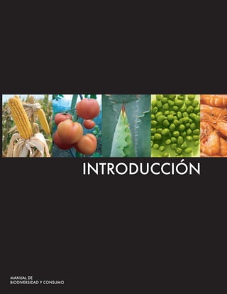 INTRODUCCIÓN
 