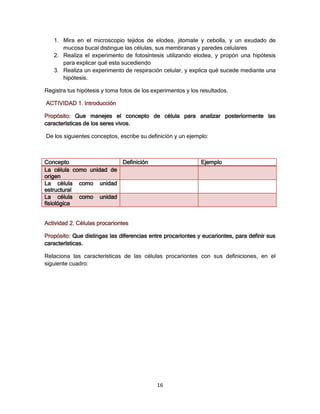 1. Mira en el microscopio tejidos de elodea, jitomate y cebolla, y un exudado de
      mucosa bucal distingue las células, sus membranas y paredes celulares
   2. Realiza el experimento de fotosíntesis utilizando elodea, y propón una hipótesis
      para explicar qué esta sucediendo
   3. Realiza un experimento de respiración celular, y explica qué sucede mediante una
      hipótesis.

Registra tus hipótesis y toma fotos de los experimentos y los resultados.

ACTIVIDAD 1. Introducción

Propósito: Que manejes el concepto de célula para analizar posteriormente las
características de los seres vivos.

De los siguientes conceptos, escribe su definición y un ejemplo:



Concepto                 Definición                           Ejemplo
La célula como unidad de
origen
La célula como unidad
estructural
La célula como unidad
fisiológica


Actividad 2. Células procariontes

Propósito: Que distingas las diferencias entre procariontes y eucariontes, para definir sus
características.

Relaciona las características de las células procariontes con sus definiciones, en el
siguiente cuadro:




                                            16
 