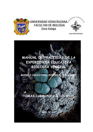 UNIVERSIDAD VERACRUZANA
FACULTAD DE BIOLOGIA
Zona Xalapa
MANUAL DE PRACTICAS DE LA
EXPERIENCIA EDUCATIVA
BIOLOGIA VEGETAL
MODELO EDUCATIVO INTEGRAL Y FLEXIBLE
TOMAS CARMONA VALDOVINOS
ABRIL DE 2007
 