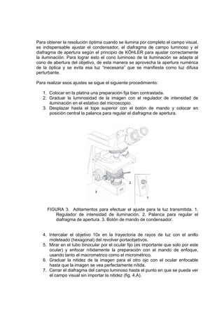 Para obtener la resolución óptima cuando se ilumina por completo el campo visual,
es indispensable ajustar el condensador, el diafragma de campo luminoso y el
diafragma de apertura según el principio de KÖHLER para ajustar correctamente
la iluminación. Para lograr esto el cono luminoso de la iluminación se adapta al
cono de abertura del objetivo, de esta manera se aprovecha la apertura numérica
de la óptica y se evita esa luz “inecesaria” que se manifiesta como luz difusa
perturbante.
Para realizar esos ajustes se sigue el siguiente procedimiento:
1. Colocar en la platina una preparación fija bien contrastada.
2. Graduar la luminosidad de la imagen con el regulador de intensidad de
iluminación en el estativo del microscopio.
3. Desplazar hasta el tope superior con el botón de mando y colocar en
posición central la palanca para regular el diafragma de apertura.
FIGURA 3. Aditamentos para efectuar el ajuste para la luz transmitida. 1.
Regulador de intensidad de iluminación. 2. Palanca para regular el
diafragma de apertura. 3. Botón de mando de condensador.
4. Intercalar el objetivo 10x en la trayectoria de rayos de luz con el anillo
moleteado (hexagonal) del revolver portaobjetivos.
5. Mirar en el tubo binocular por el ocular fijo (es importante que solo por este
ocular) y enfocar nítidamente la preparación con el mando de enfoque,
usando tanto el macrometrico como el micrométrico.
6. Graduar la nitidez de la imagen para el otro ojo con el ocular enfocable
hasta que la imagen se vea perfectamente nítida.
7. Cerrar el diafragma del campo luminoso hasta el punto en que se pueda ver
el campo visual sin importar la nitidez (fig. 4.A).
 