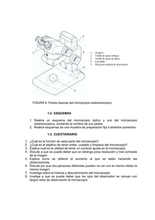1. Oculares
2. Tornillo de ajuste enfoque
3. Tornillo de ajuste de altura
4. Encendido
5. Placa para material de observacion
FIGURA 6. Partes basicas del microscopio estereoscopico
1.4. ESQUEMAS
1. Realice un esquema del microscopio óptico y uno del microscopio
estereoscópico, anotando el nombre de sus partes.
2. Realice esquemas de una muestra de preparación fija a distintos aumentos.
1.5. CUESTIONARIO
1. ¿Cuál es la función de cada parte del microscopio?
2. ¿Cuál es el objetivo de tener orden, cuidado y limpieza del microscopio?
3. Explica cuál es la utilidad de tener un correcto ajuste en el microscopio.
4. Discute a que se puede deber que se obtenga poca resolución y mal contraste
de la imagen.
5. Explica como se obtiene el aumento al que se están haciendo las
observaciones.
6. Discute por que dos personas diferentes pueden no ver con la misma nitidez la
misma imagen.
7. Investiga sobre la historia y descubrimiento del microscopio.
8. Invetiga a que se puede deber que los ojos del observador se cansan con
largos ratos de observación al microscopio.
 